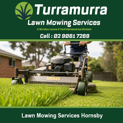 Expert ride on mower maintaining healthy green lawn in Hornsby