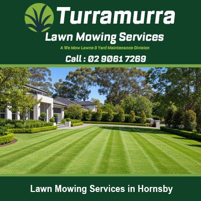 Pristine residential lawn with expert striping by Turramurra Lawn Mowing in Hornsby Sydney
