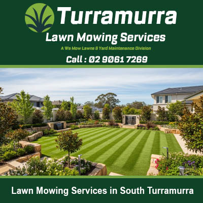 Expert lawn care service maintaining expansive residential property in South Turramurra Sydney