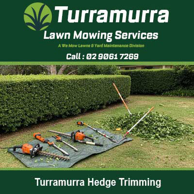 Hedge trimming equipment laid out on tarp in Turramurra