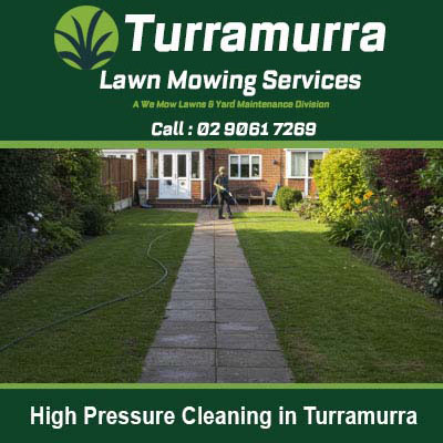 Clean concrete pathway with manicured lawn in Turramurra