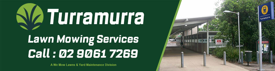 Turramurra Lawn Mowing Services
