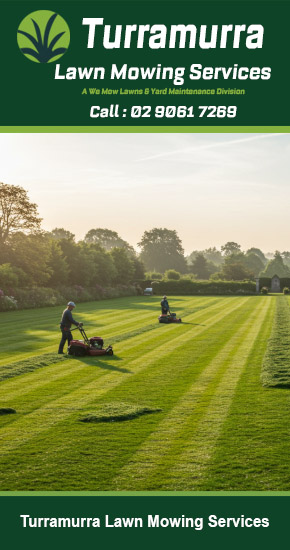 Turramurra Lawn Mowing Services