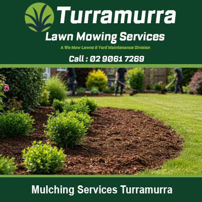 Freshly mulched garden bed with shrubs in Turramurra