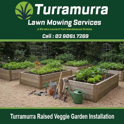 Wooden raised garden beds with vegetables in Turramurra