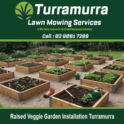 Multiple wooden raised garden beds in Turramurra