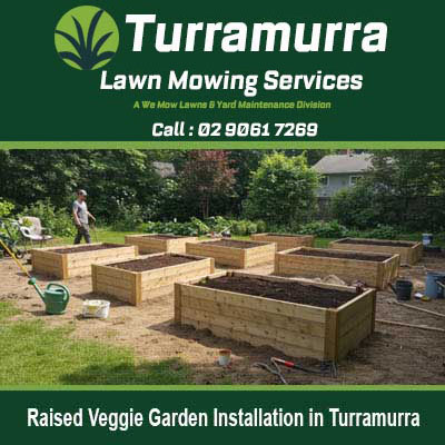 Raised wooden vegetable garden bed in Turramurra