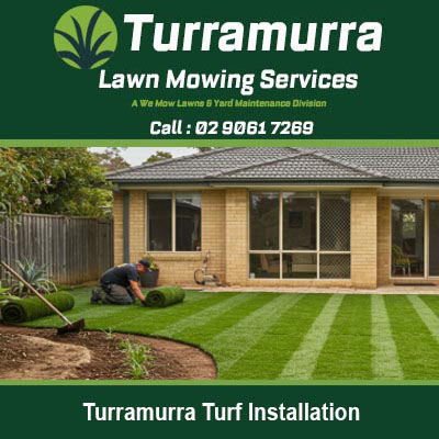 Worker laying fresh turf with stripe lawn in Turramurra