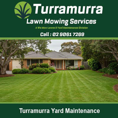 Well maintained residential lawn in Turramurra