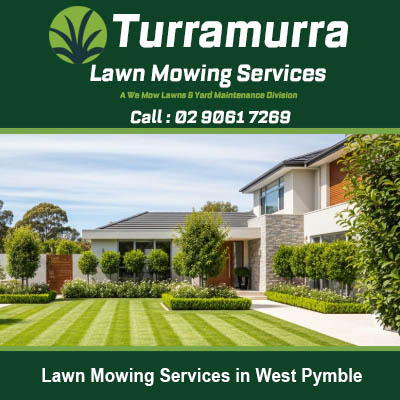 Beautiful striped grass pattern created by professional mowing in West Pymble NSW